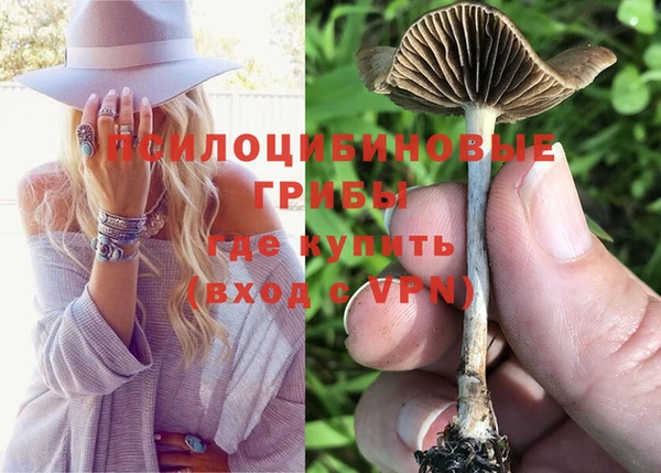 винт Корсаков